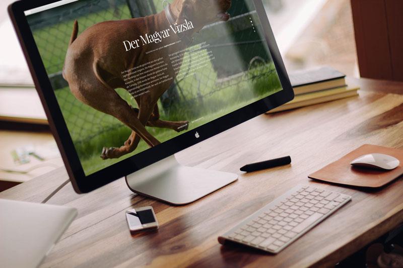 Magyar Vizsla Landing Page